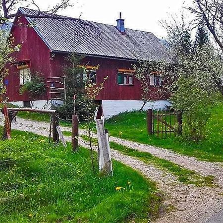 Draga Koncar Guest House Vrelo Koreničko Buitenkant foto