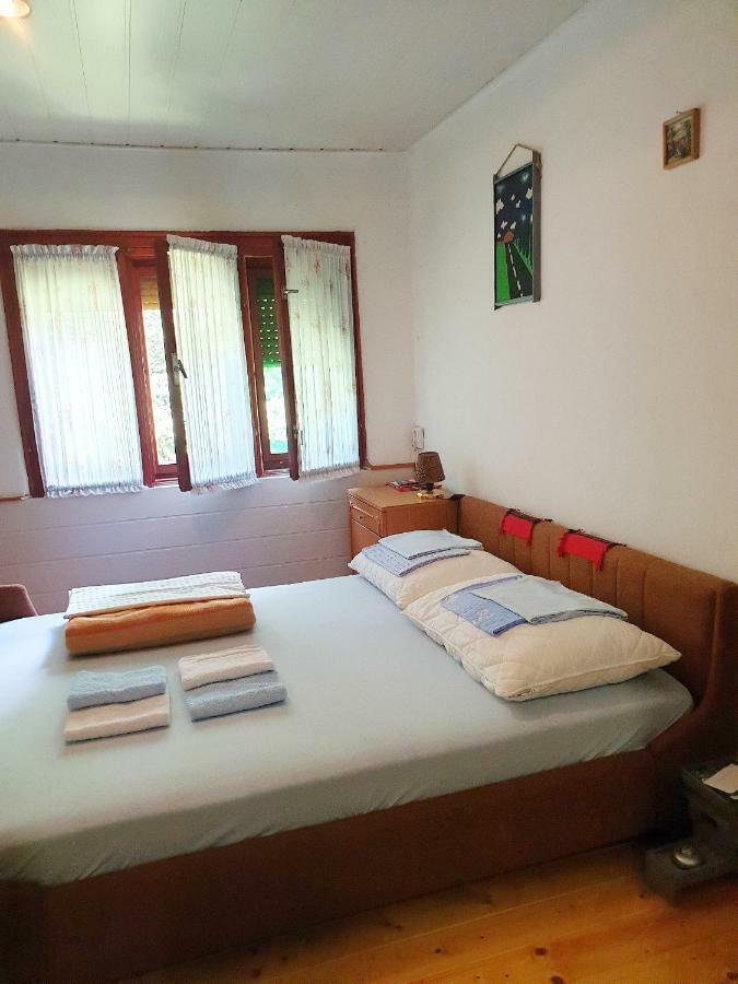 Draga Koncar Guest House Vrelo Koreničko Buitenkant foto