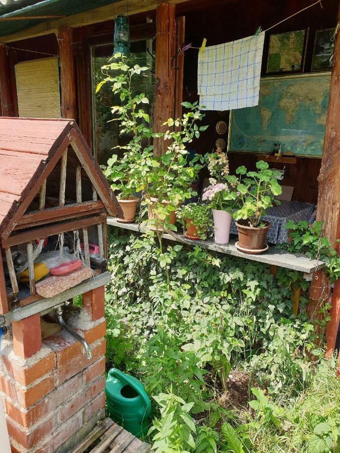 Draga Koncar Guest House Vrelo Koreničko Buitenkant foto