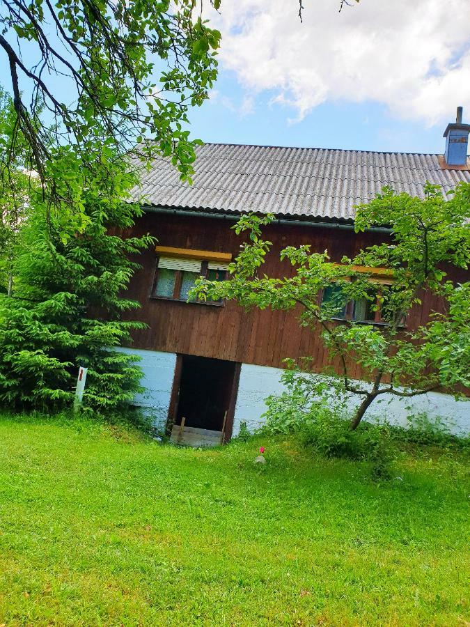 Draga Koncar Guest House Vrelo Koreničko Buitenkant foto