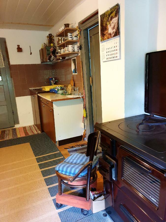 Draga Koncar Guest House Vrelo Koreničko Buitenkant foto