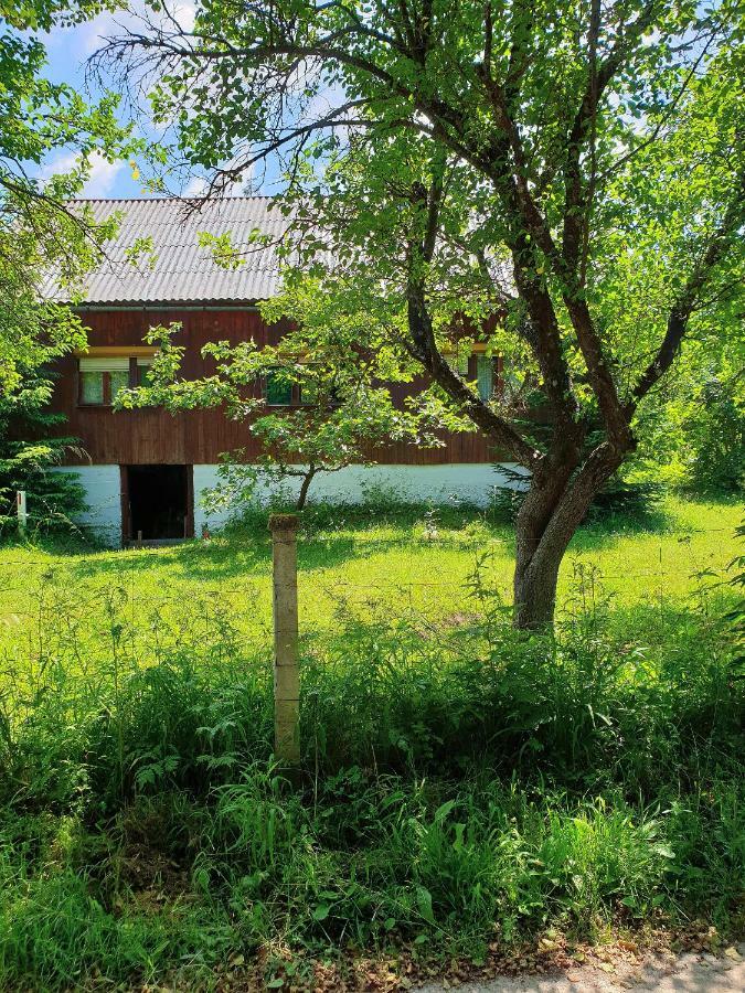 Draga Koncar Guest House Vrelo Koreničko Buitenkant foto