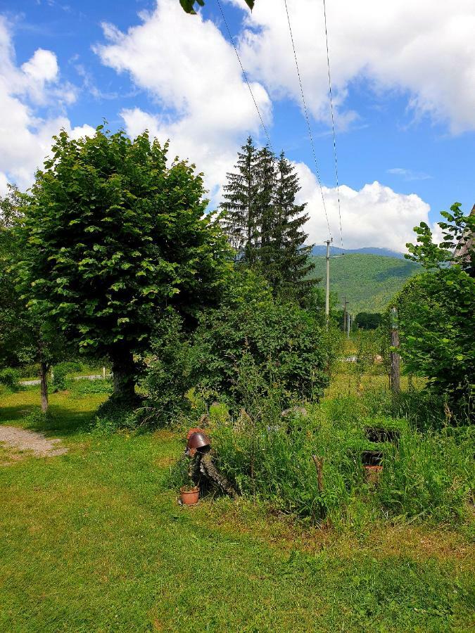 Draga Koncar Guest House Vrelo Koreničko Buitenkant foto