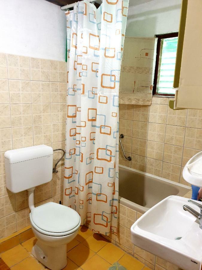 Draga Koncar Guest House Vrelo Koreničko Buitenkant foto