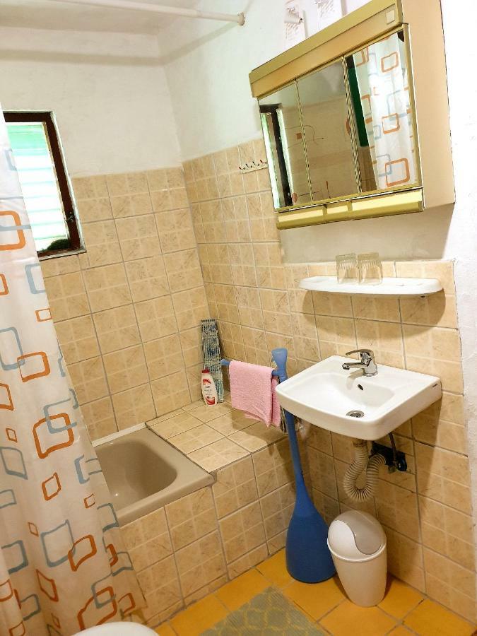 Draga Koncar Guest House Vrelo Koreničko Buitenkant foto